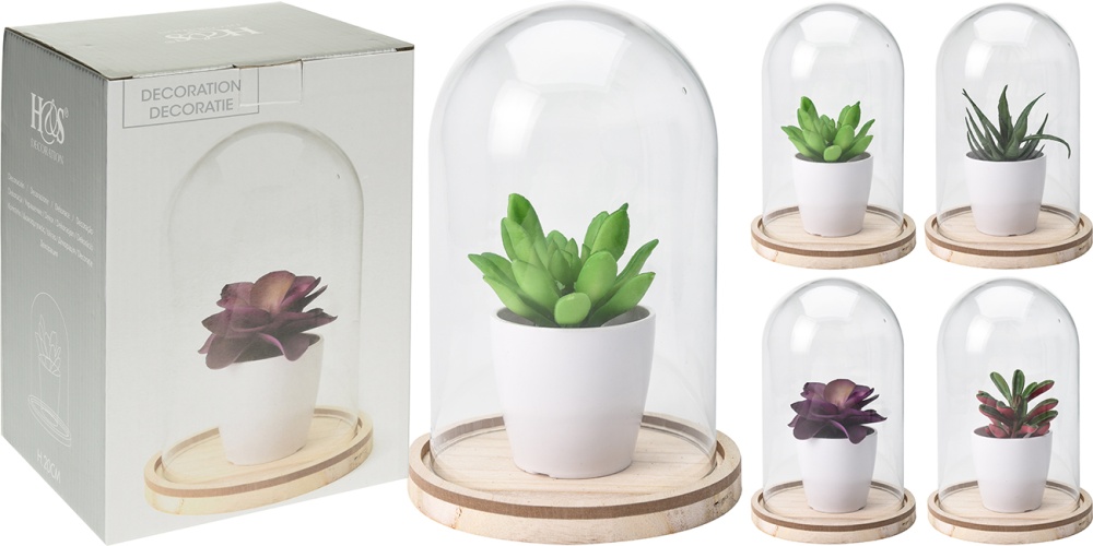 Суккулент в горшке в стеклянном куполе HZ1002200